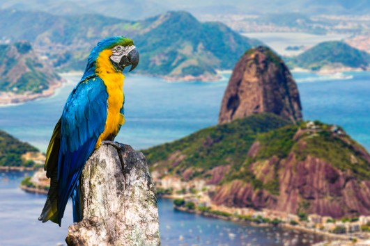 Brazil